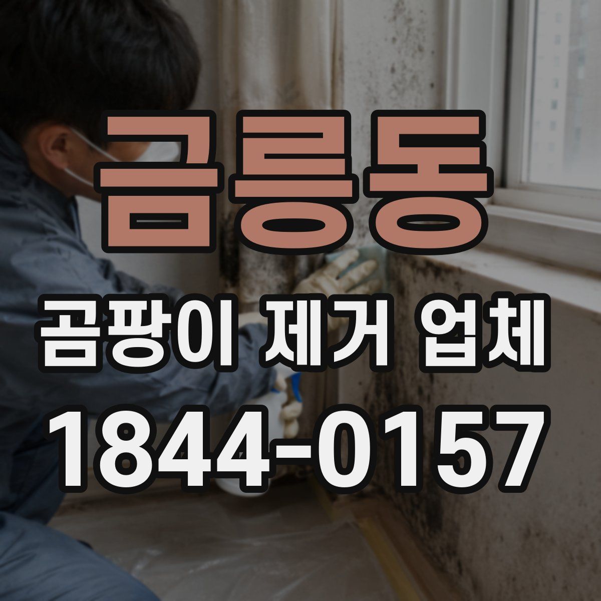 금릉동 곰팡이 제거 업체