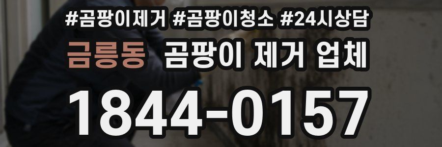 금릉동 곰팡이 제거 업체