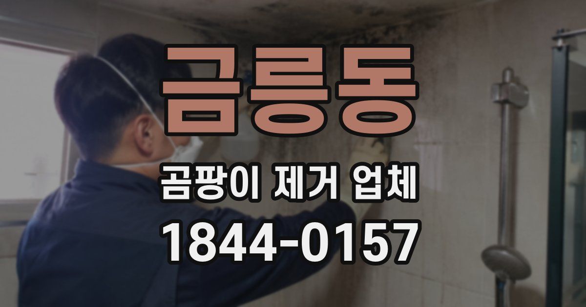 금릉동 곰팡이 제거 업체