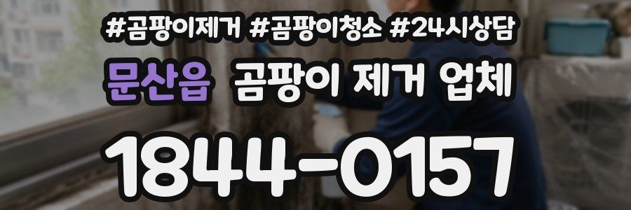 문산읍 곰팡이 제거 업체