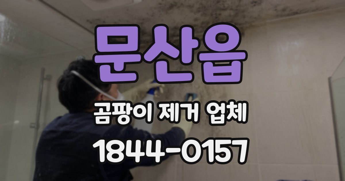 문산읍 곰팡이 제거 업체
