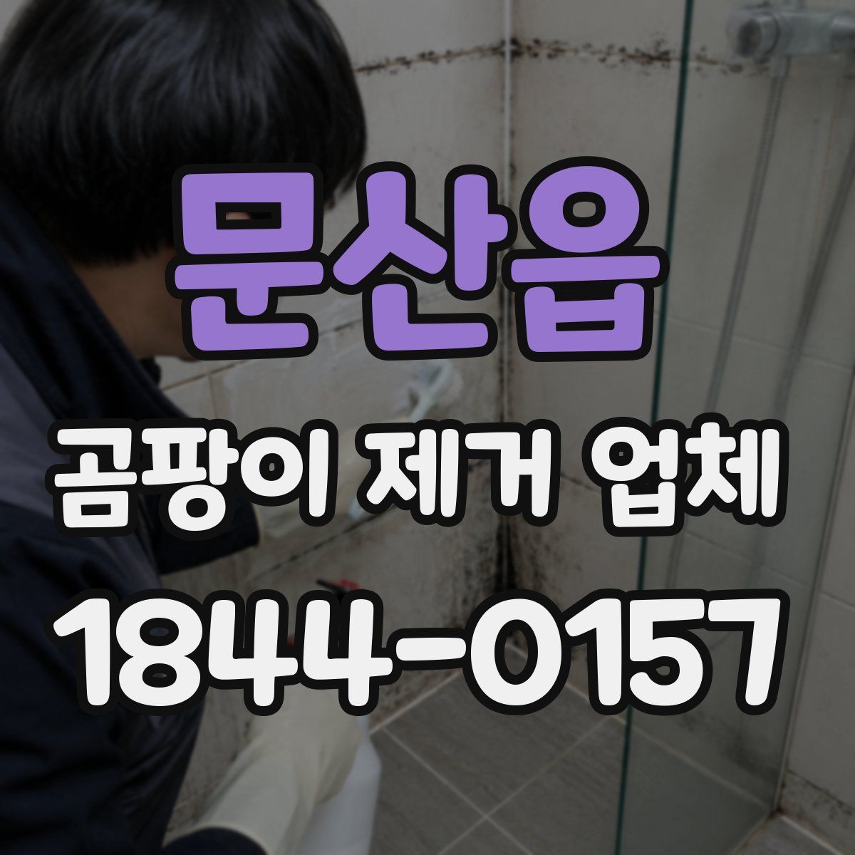 문산읍 곰팡이 제거 업체