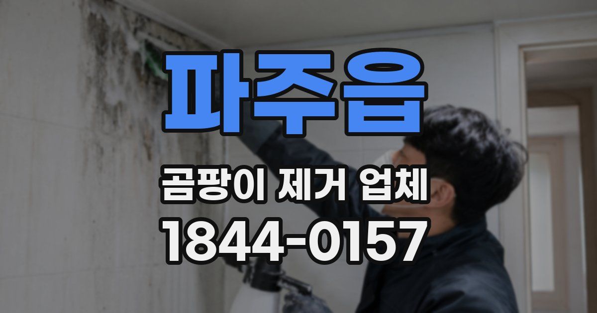 파주읍 곰팡이 제거 업체