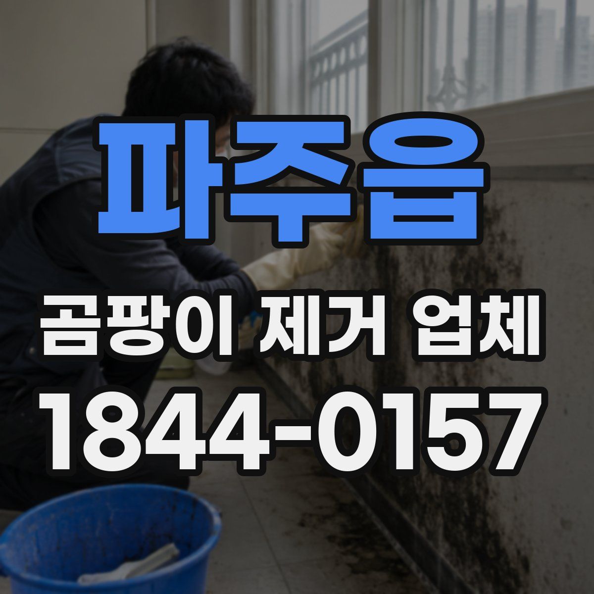 파주읍 곰팡이 제거 업체