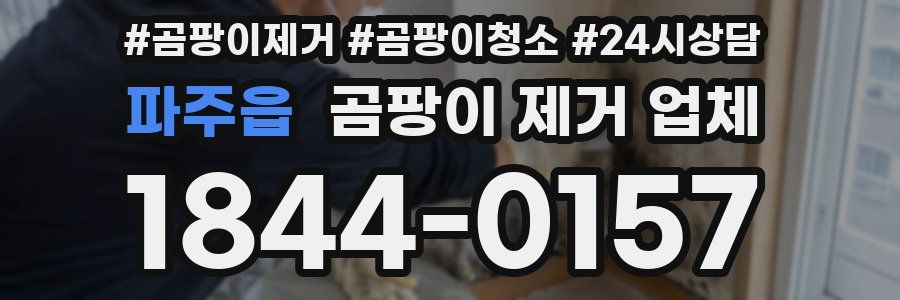 파주읍 곰팡이 제거 업체