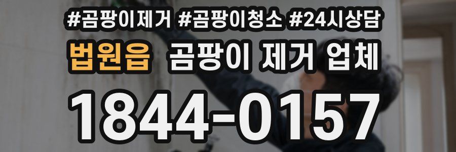 법원읍 곰팡이 제거 업체