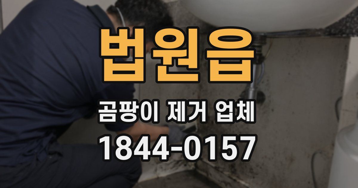 법원읍 곰팡이 제거 업체