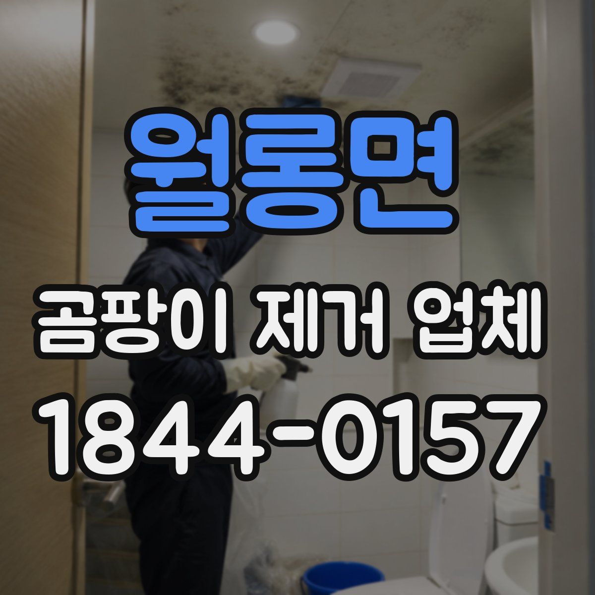 월롱면 곰팡이 제거 업체