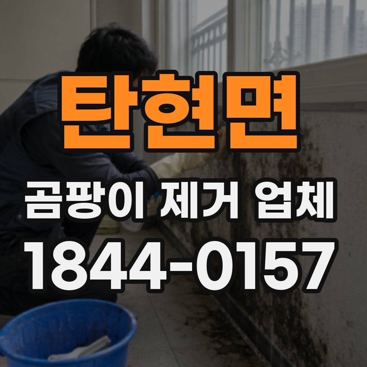 탄현면 곰팡이 제거 업체