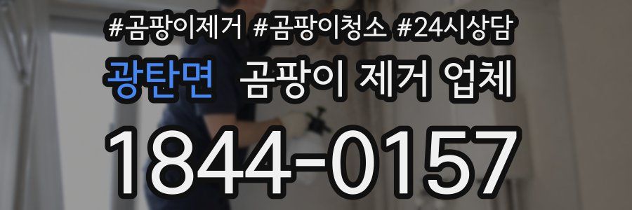 광탄면 곰팡이 제거 업체
