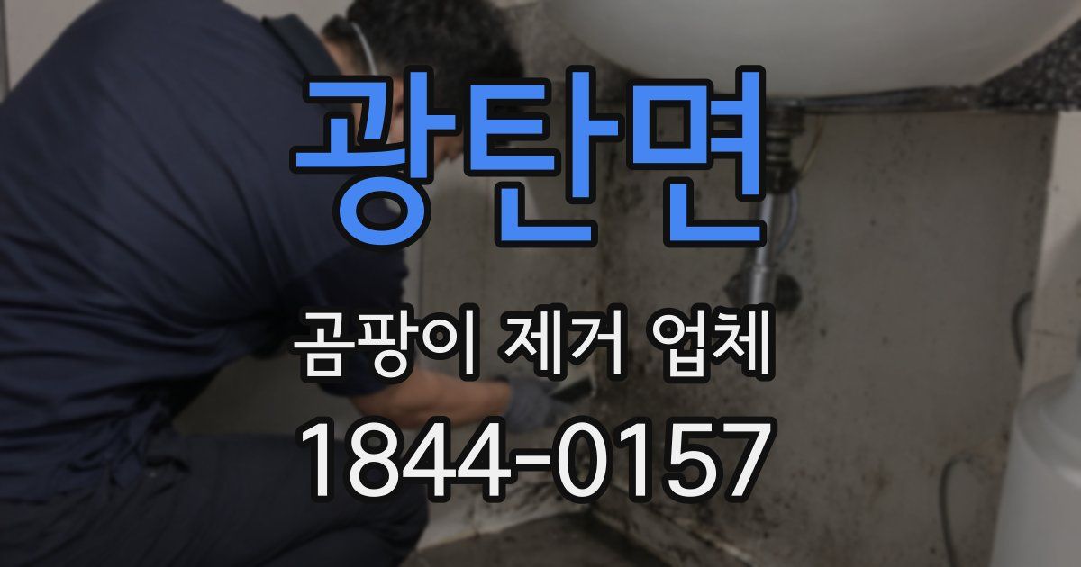 광탄면 곰팡이 제거 업체