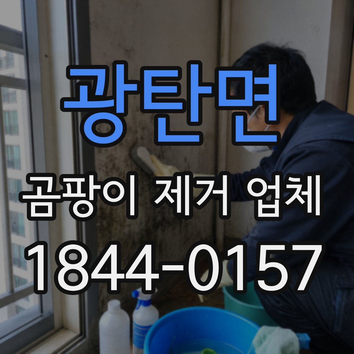 광탄면 곰팡이 제거 업체