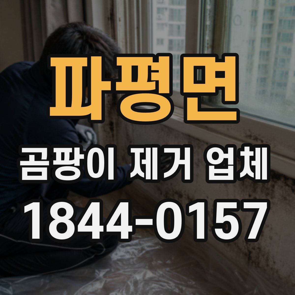파평면 곰팡이 제거 업체