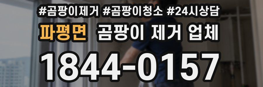파평면 곰팡이 제거 업체