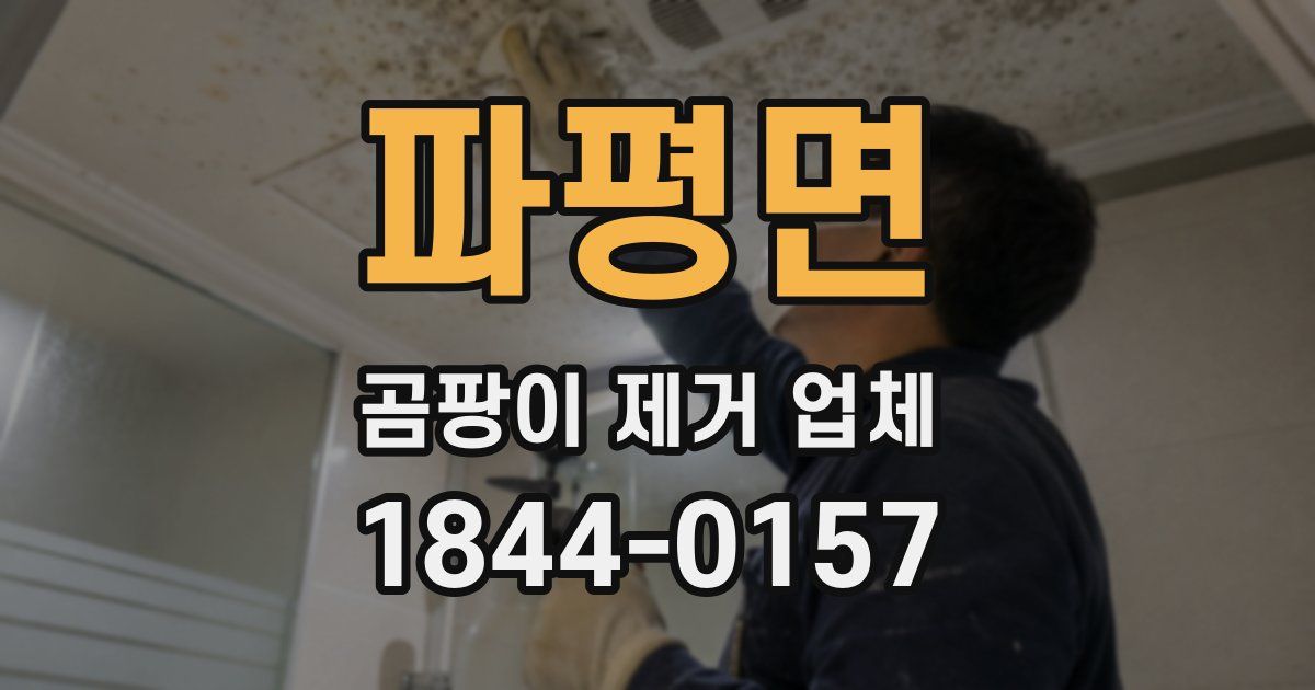 파평면 곰팡이 제거 업체