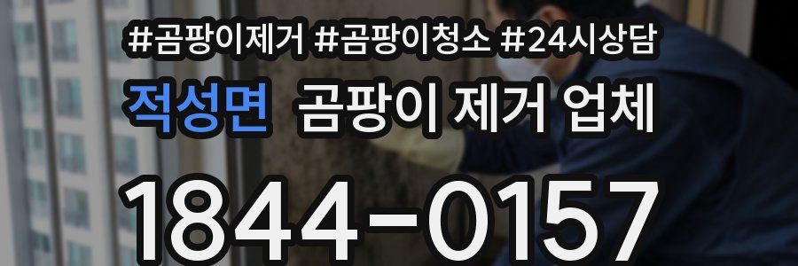 적성면 곰팡이 제거 업체