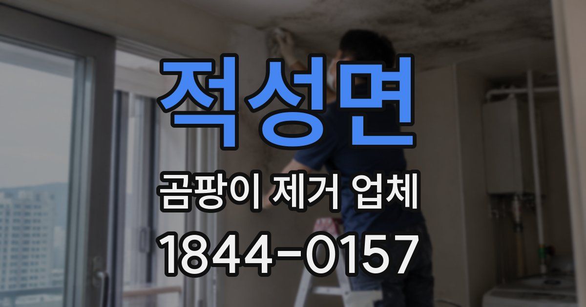 적성면 곰팡이 제거 업체