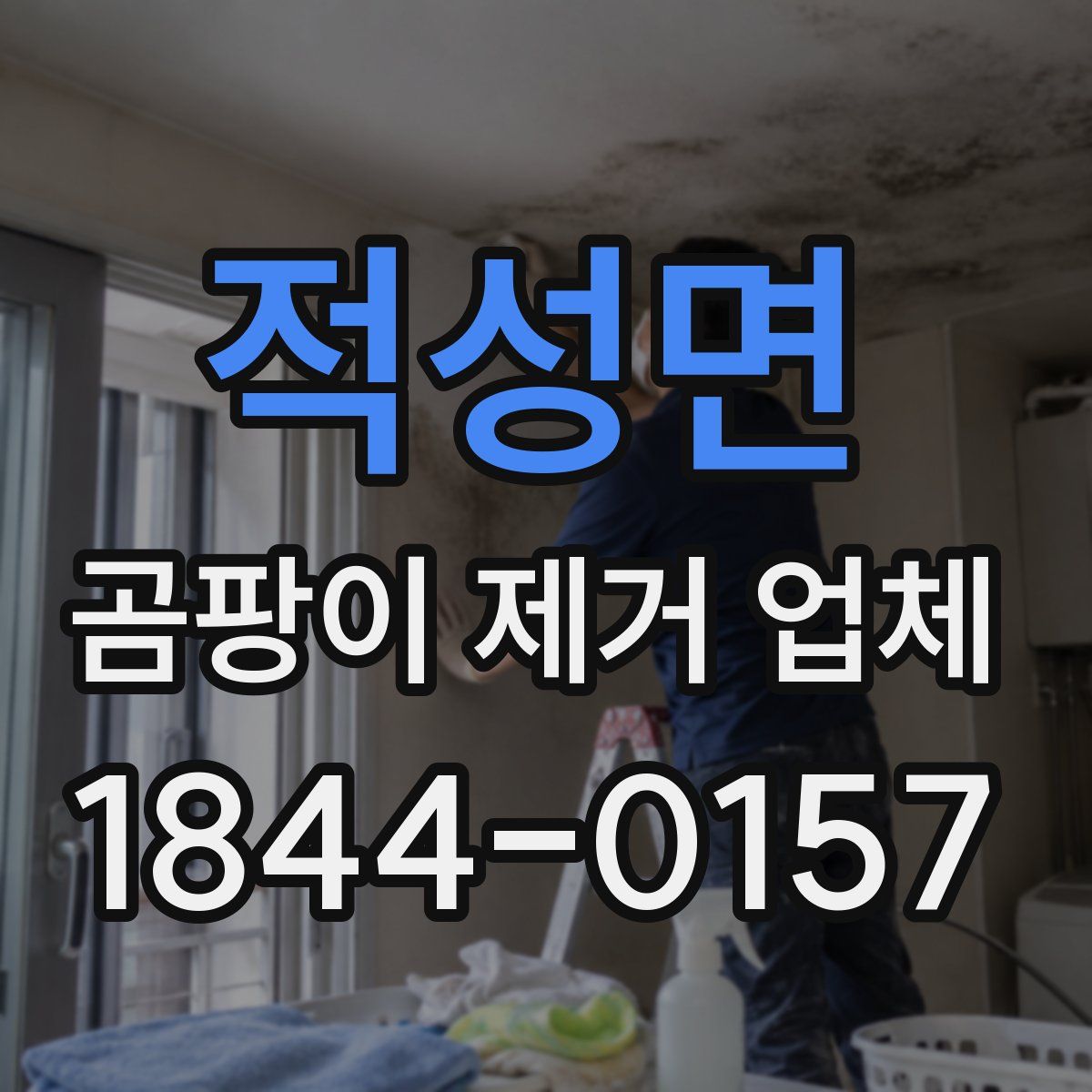적성면 곰팡이 제거 업체
