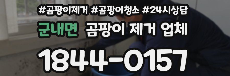 군내면 곰팡이 제거 업체