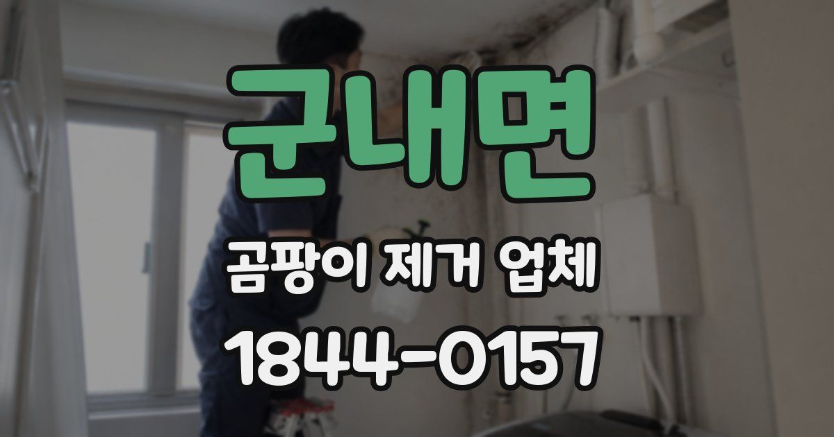 군내면 곰팡이 제거 업체