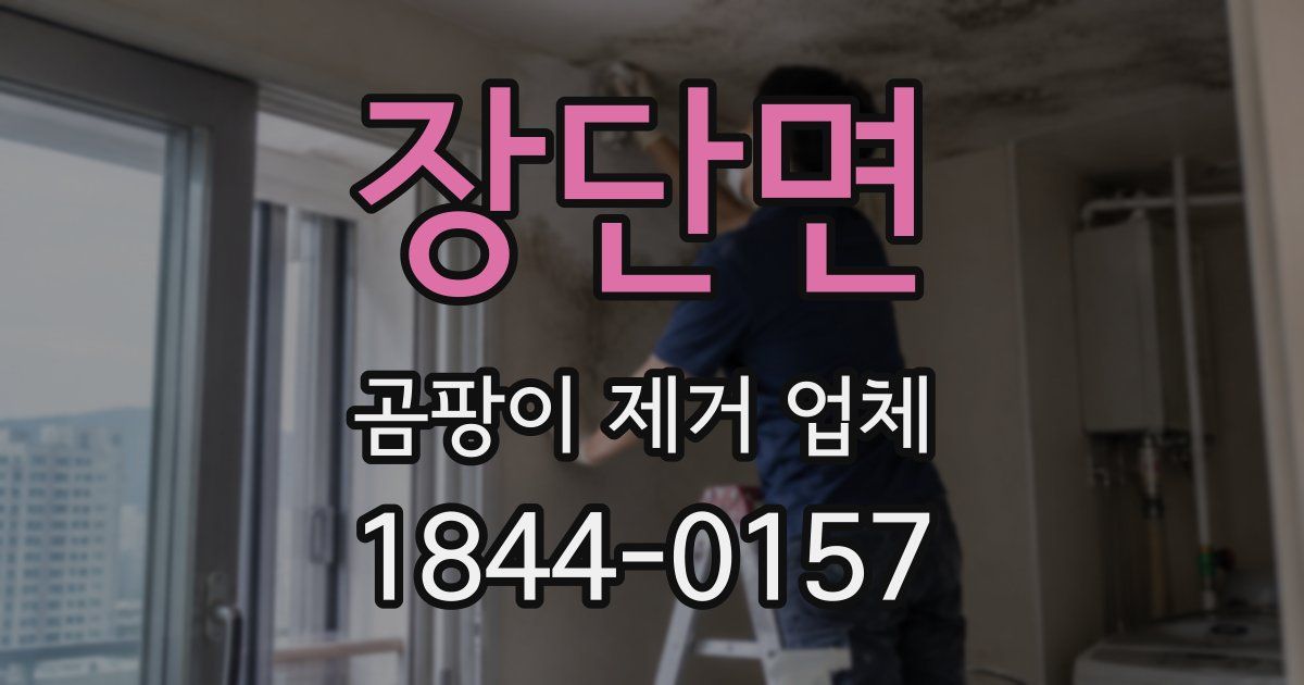 장단면 곰팡이 제거 업체