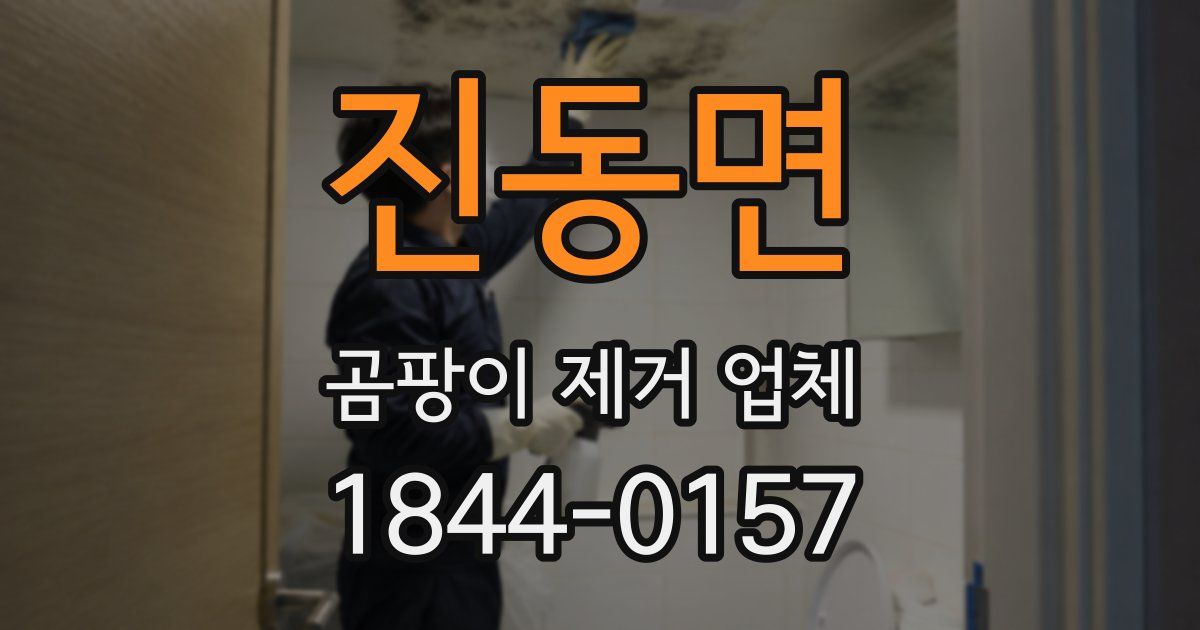 진동면 곰팡이 제거 업체