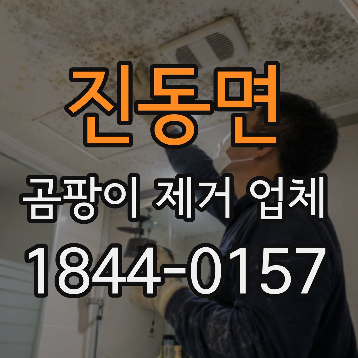 진동면 곰팡이 제거 업체