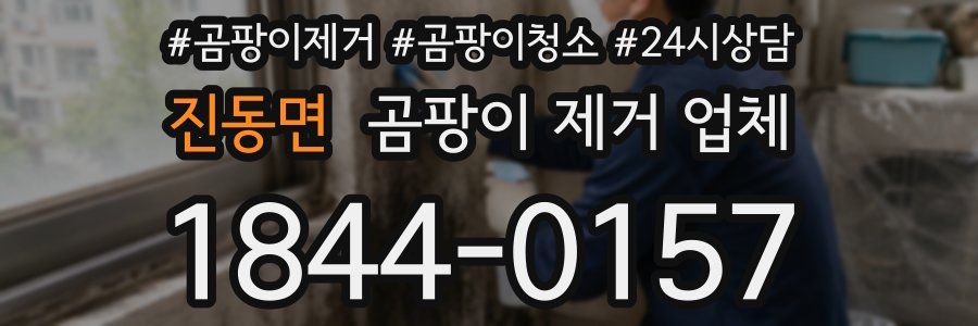 진동면 곰팡이 제거 업체