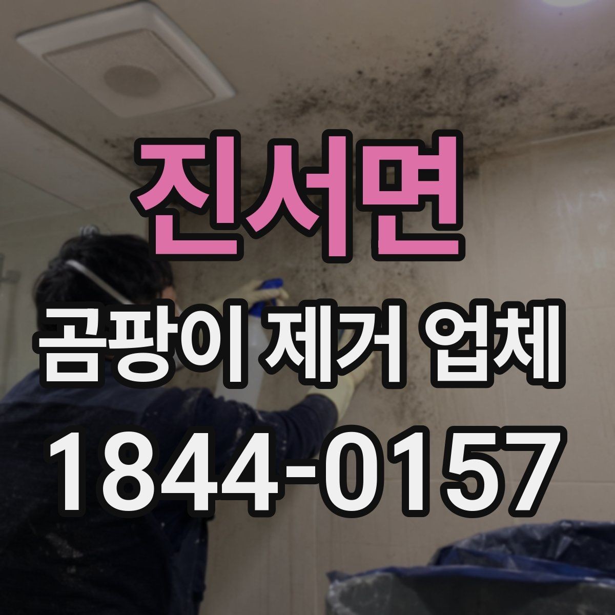 진서면 곰팡이 제거 업체 자재별 오염 특성에 따라 달라지는 작업 범위
