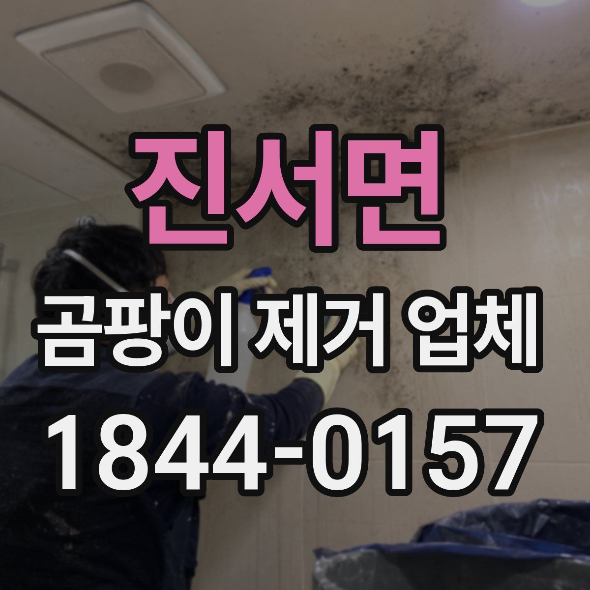 진서면 곰팡이 제거 업체