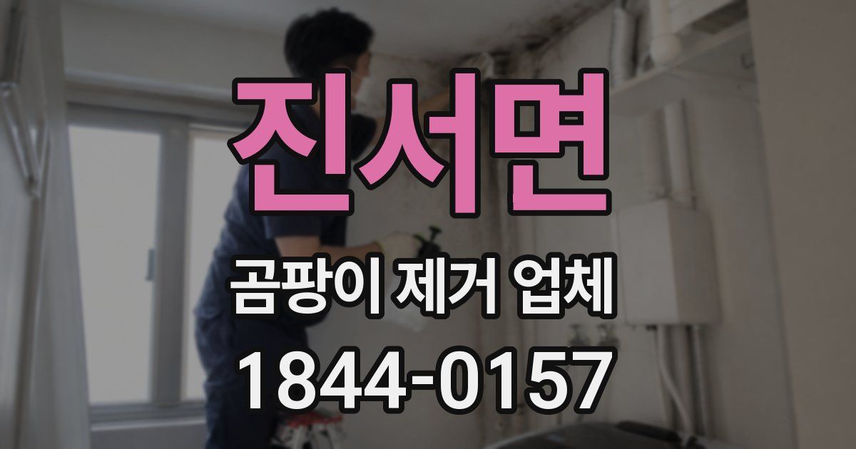 진서면 곰팡이 제거 업체