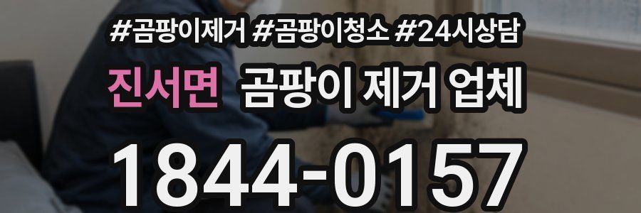 진서면 곰팡이 제거 업체