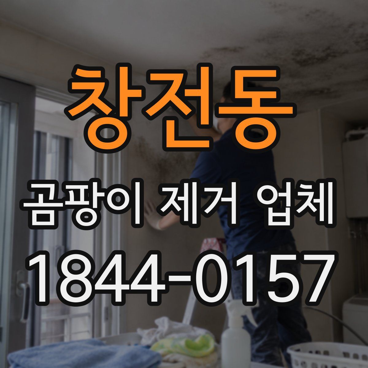 창전동 곰팡이 제거 업체