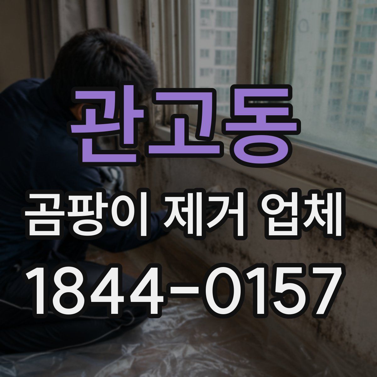 관고동 곰팡이 제거 업체