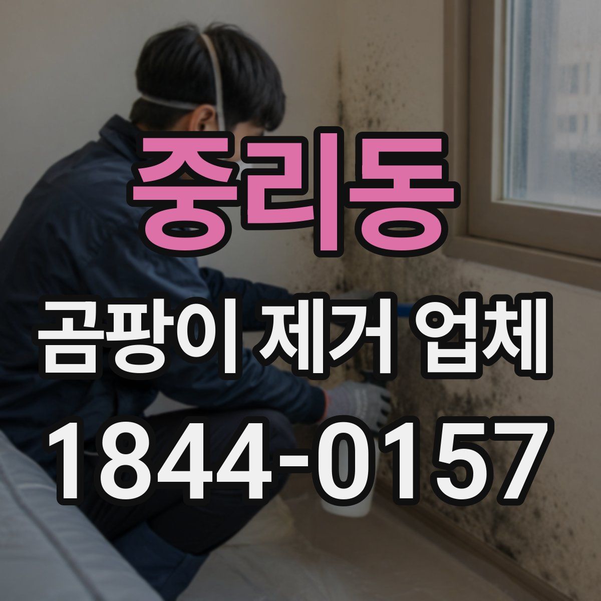 중리동 곰팡이 제거 업체