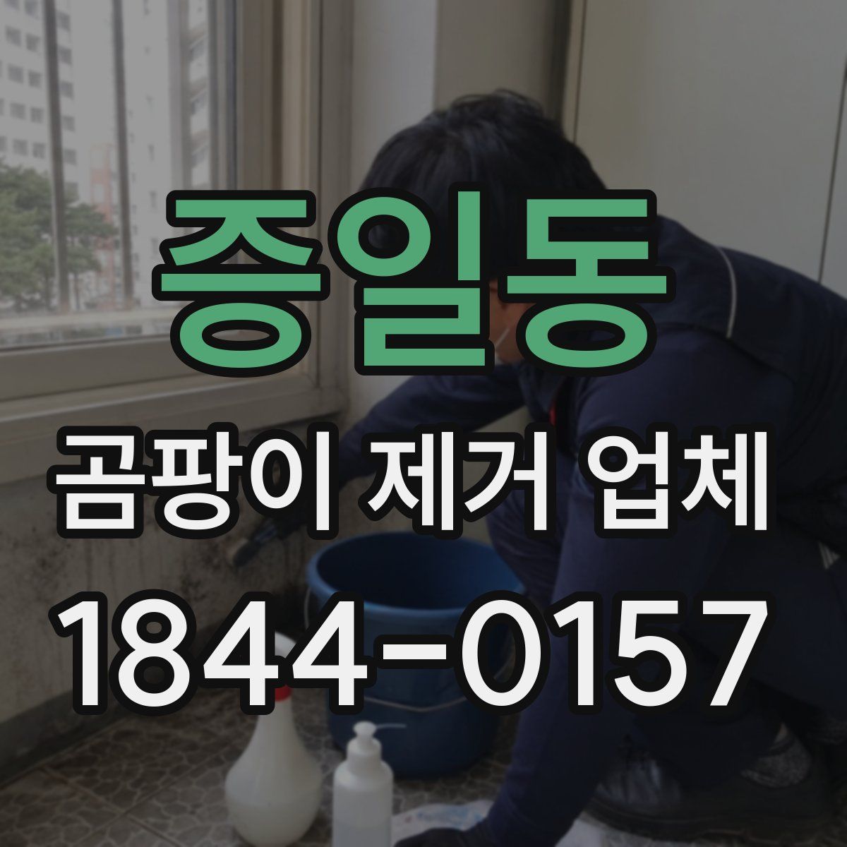 증일동 곰팡이 제거 업체