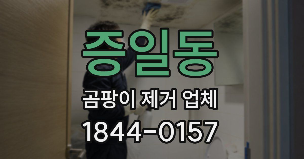 증일동 곰팡이 제거 업체