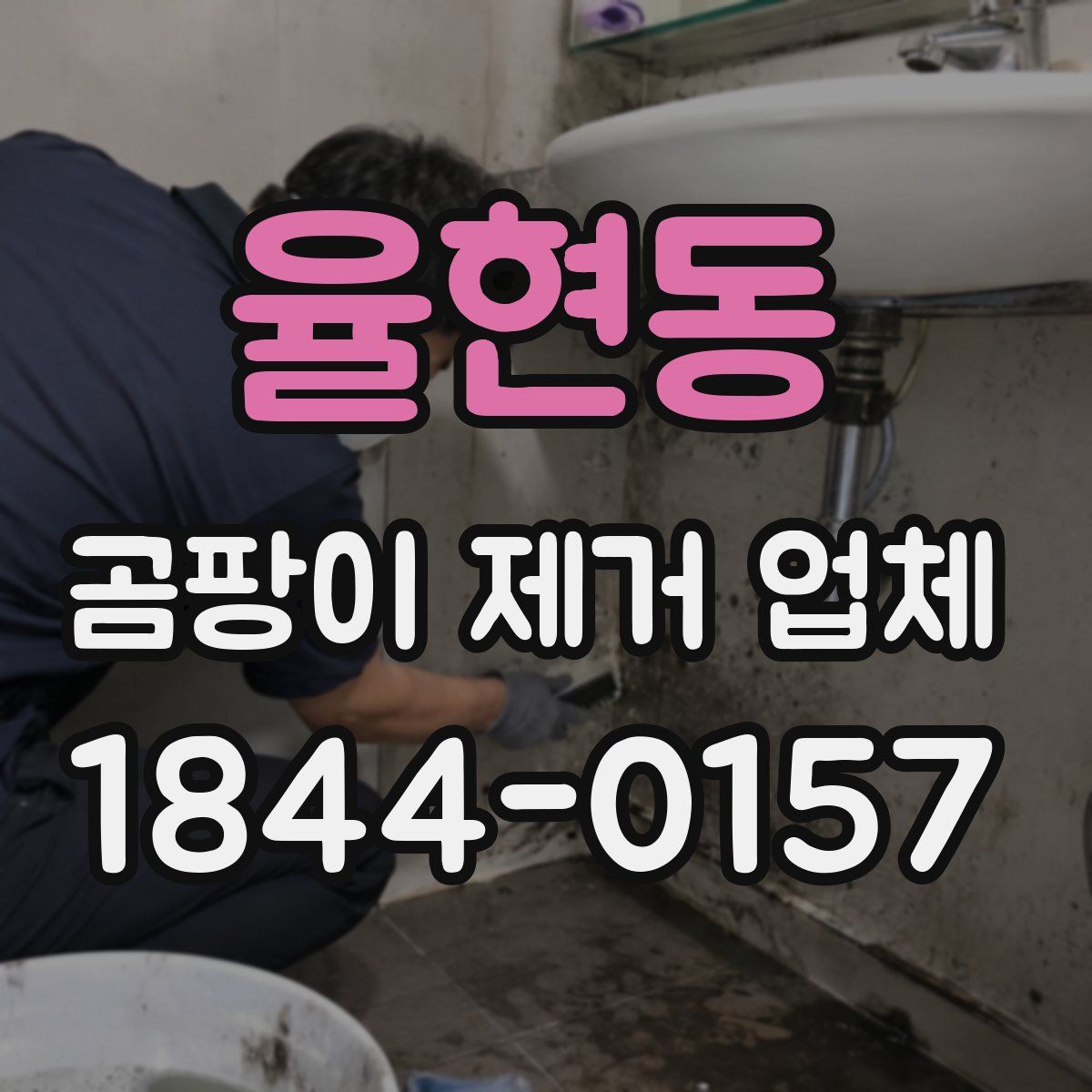 율현동 곰팡이 제거 업체