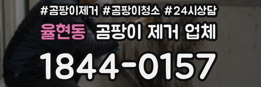 율현동 곰팡이 제거 업체