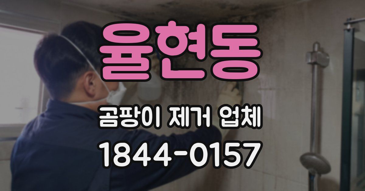 율현동 곰팡이 제거 업체