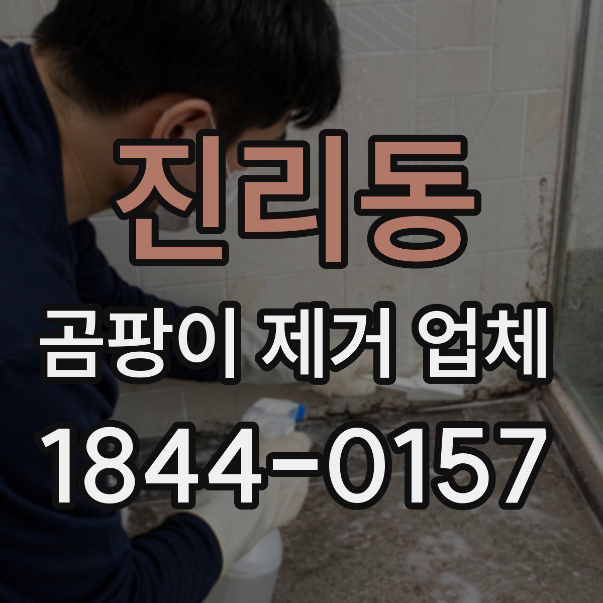 진리동 곰팡이 제거 업체
