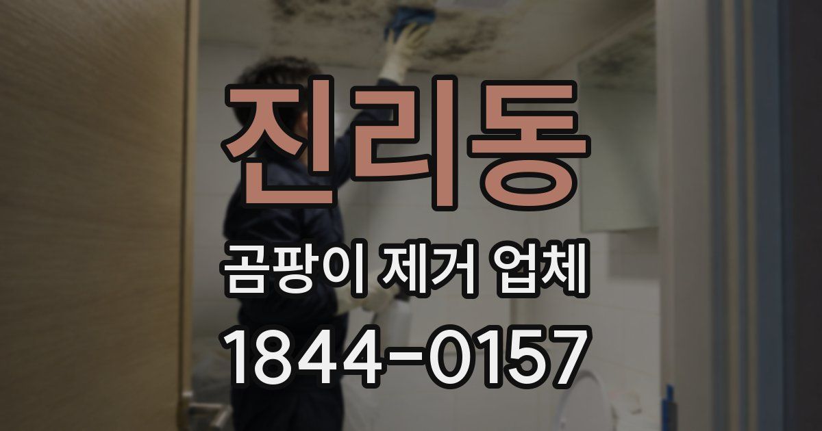 진리동 곰팡이 제거 업체