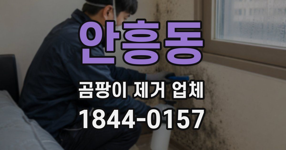 안흥동 곰팡이 제거 업체