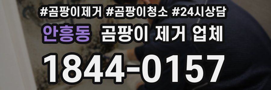 안흥동 곰팡이 제거 업체