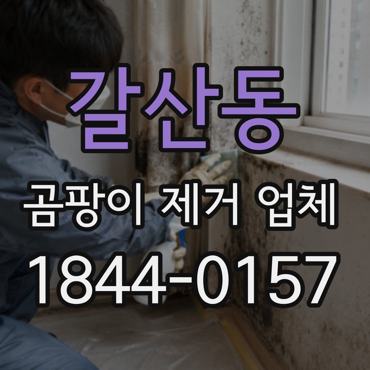 갈산동 곰팡이 제거 업체 마감재 손상 정도에 따라 달라지는 작업 범위