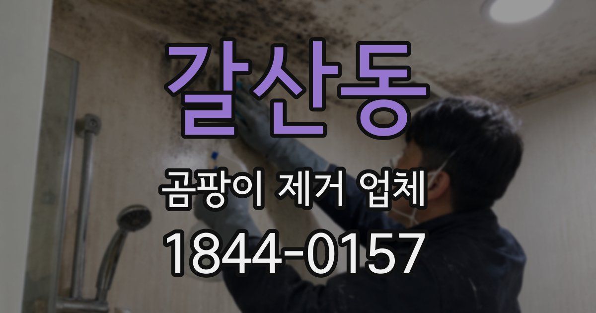 갈산동 곰팡이 제거 업체