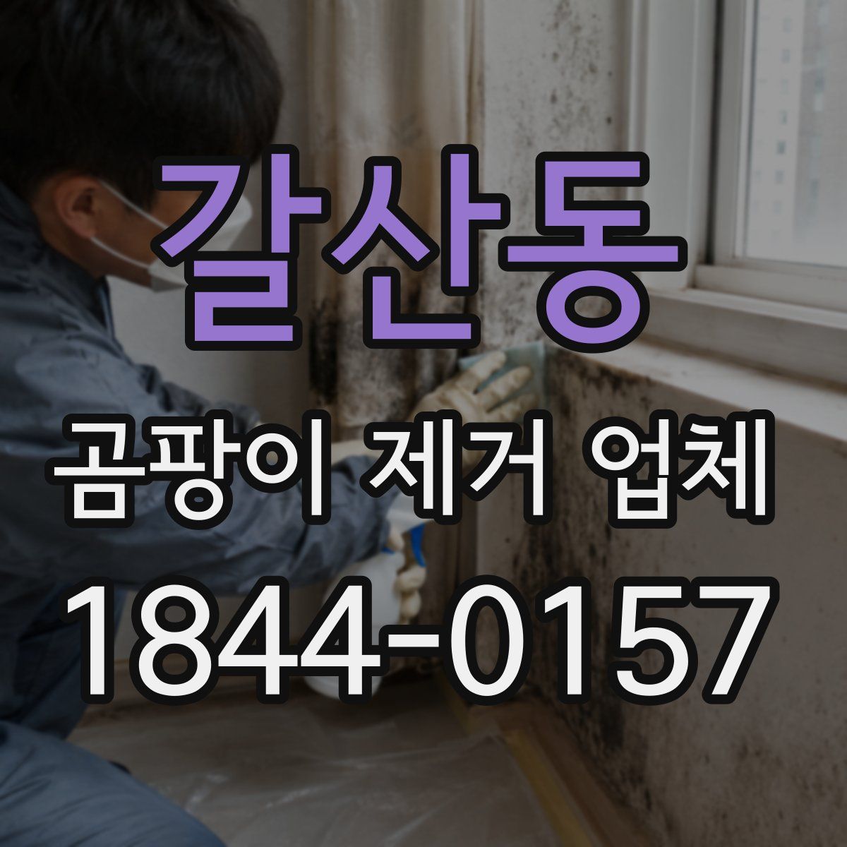 갈산동 곰팡이 제거 업체