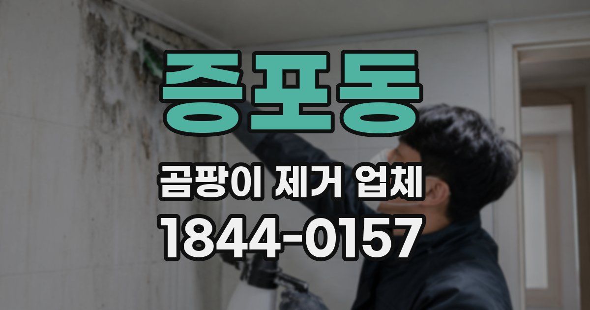 증포동 곰팡이 제거 업체