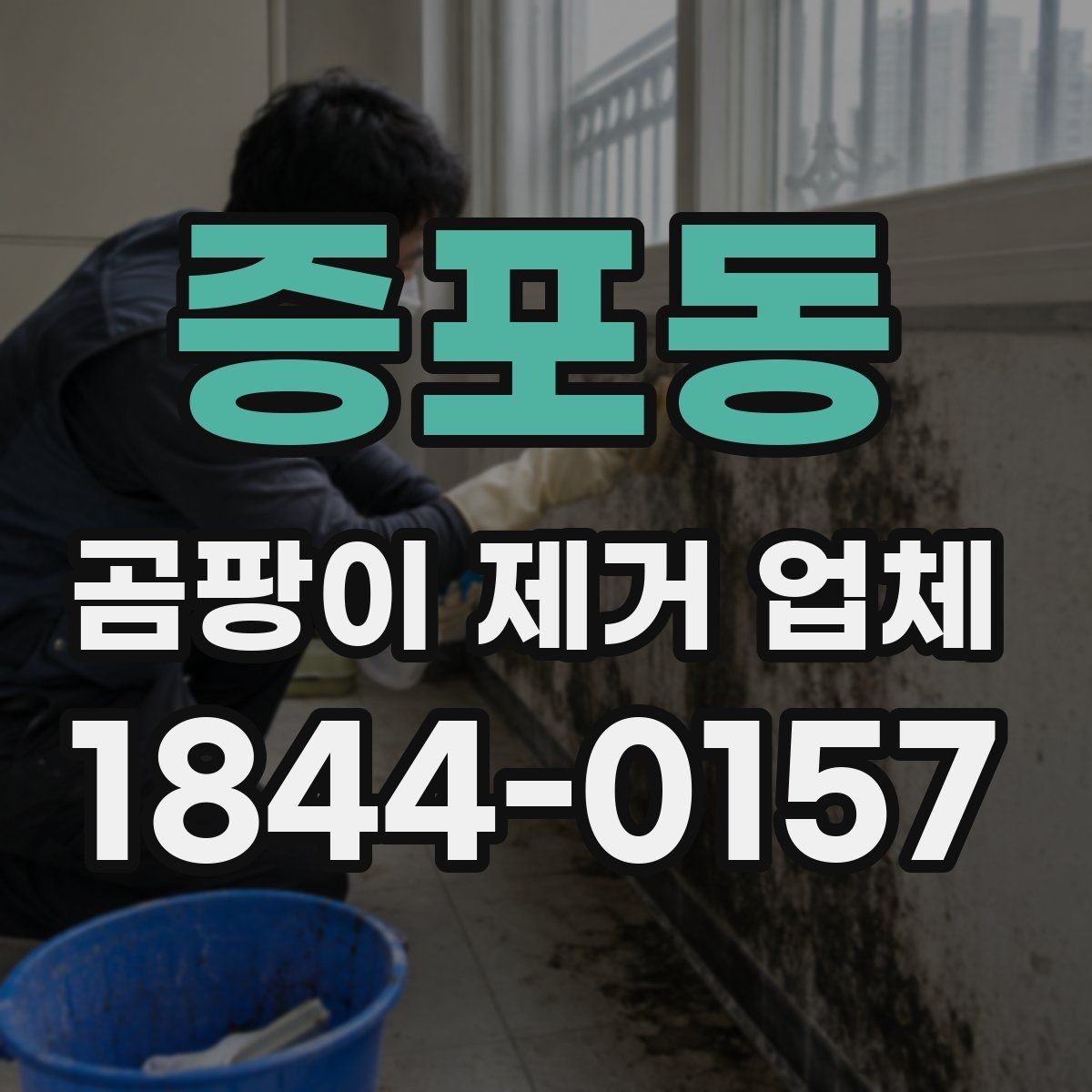 증포동 곰팡이 제거 업체