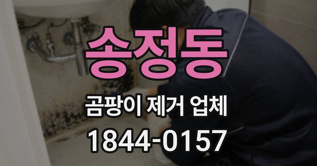 송정동 곰팡이 제거 업체